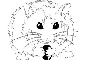 296x210 Realistic Hamster Coloring Pages Zhu Zhu Pets Coloring Picture My
