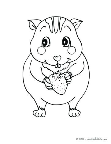 realistic hamster coloring pages at getdrawings  free