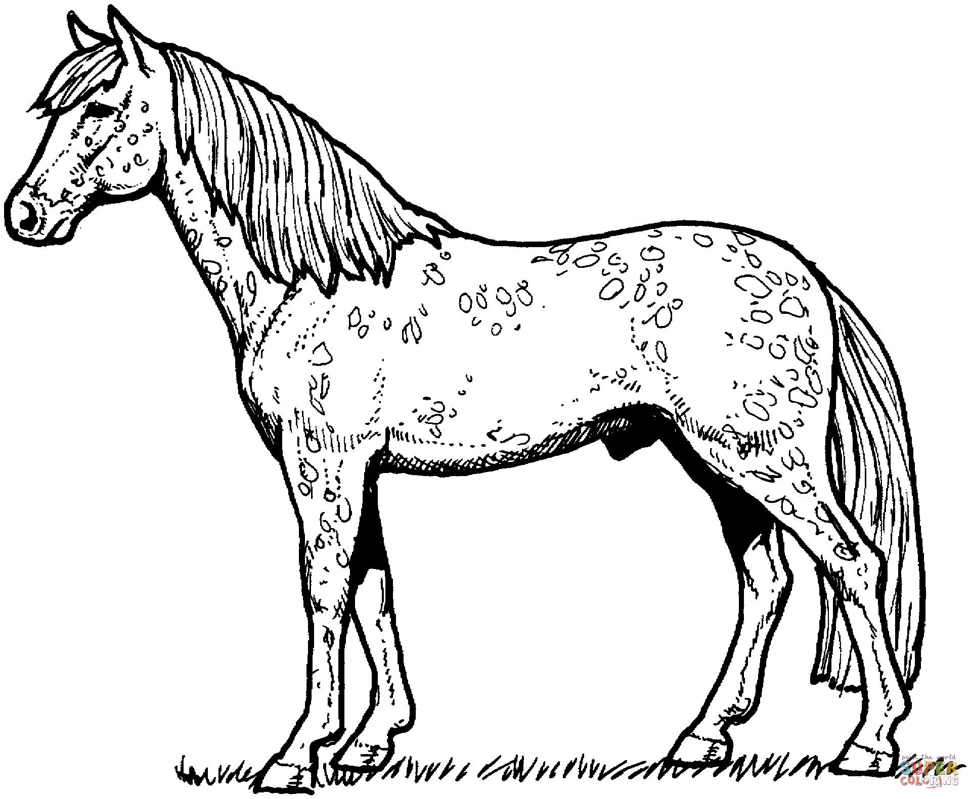 1918x1581 Printable Horse Coloring Pages Fun Time