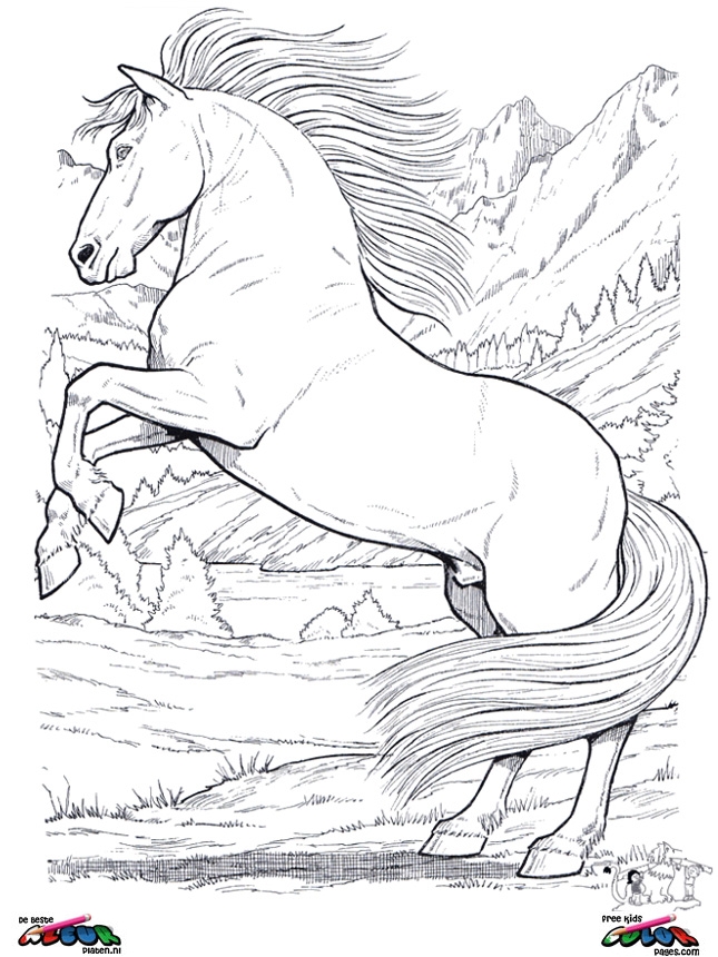 645x860 Realistic Horse Coloring Pages Horses Coloring Page