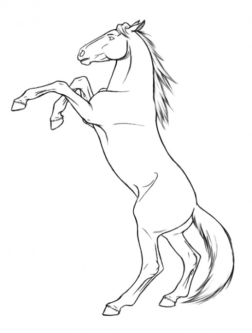 518x682 Realistic Horse Coloring Pages Horse Coloring Pages For Free