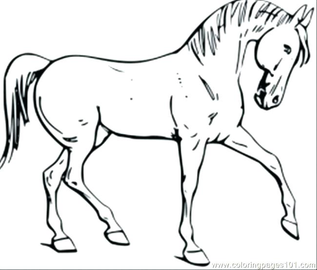 650x553 Realistic Horse Head Coloring Pages Free Horse Coloring Pages