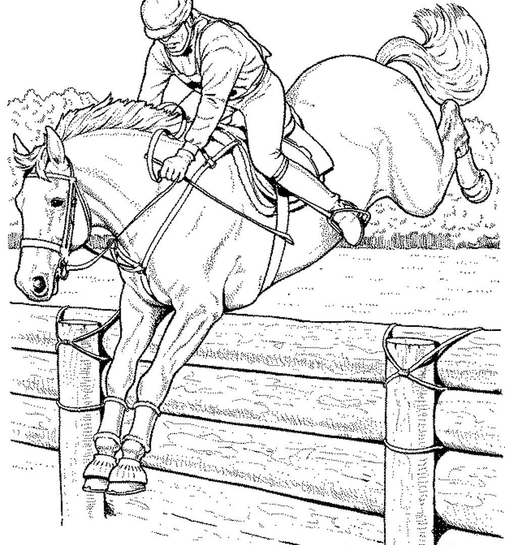 1000x1080 Simple Horses Coloring Pages To Print Realistic Horse Online Free