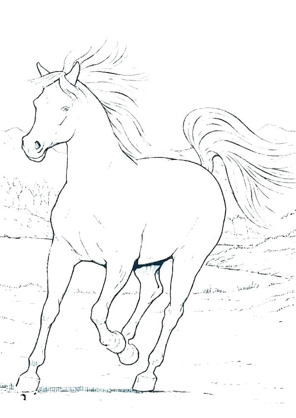 600x847 Printable Realistic Horse Coloring Pages Professional