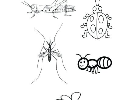 440x330 Insect Coloring Page Insects Coloring Page Twisty Noodle Insect
