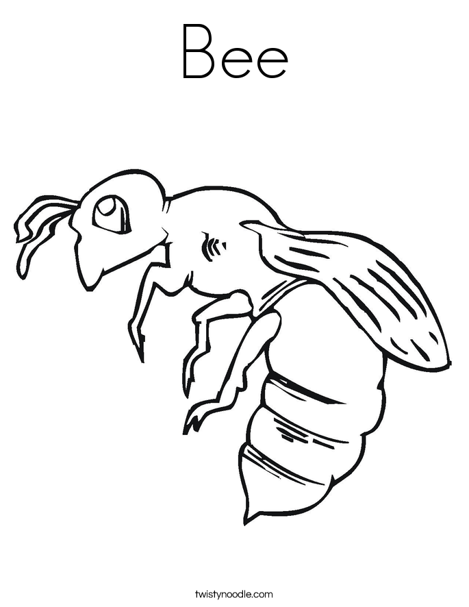 685x886 Bug And Insect Coloring Pages