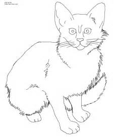 226x275 Realistic Kitten Coloring Pages