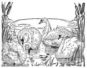 300x237 Free Printable Black And White Landscapes