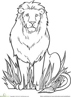 236x321 Realistic And Detailed Coloring Page Of Tiger For Older Kids