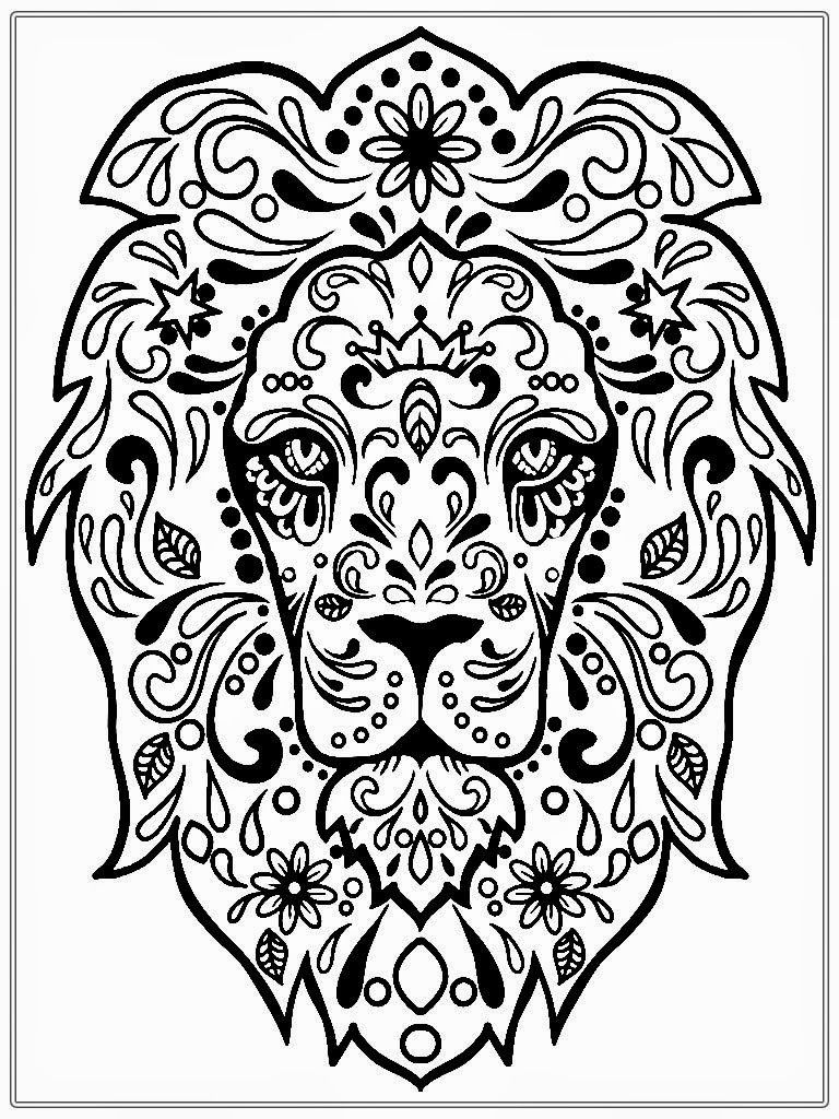 768x1024 Realistic Lion Adult Coloring Pages Free Realistic Coloring