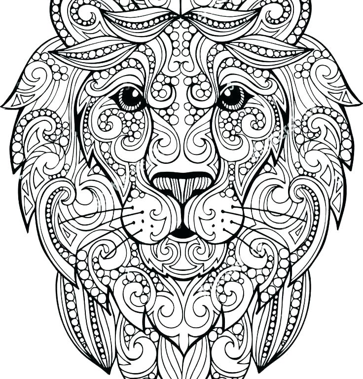 736x768 Sea Lion Coloring Page Free Sea Lion Coloring Pages Realistic New