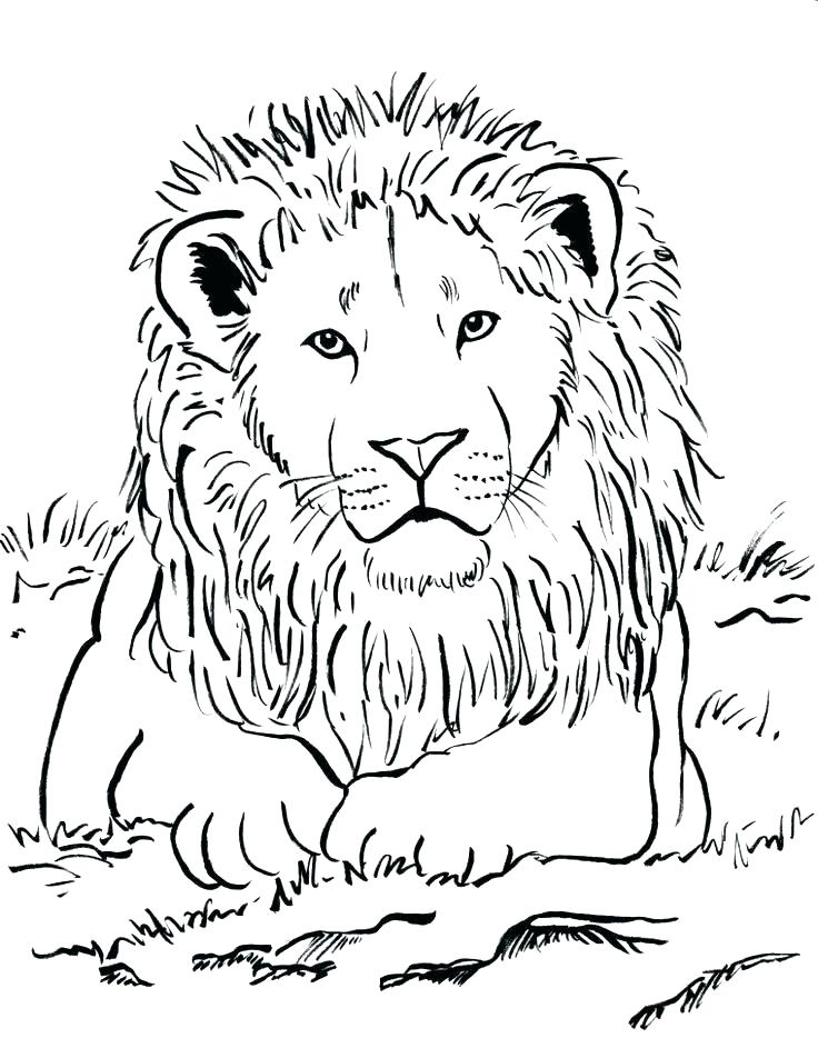 736x943 Realistic Coloring Pages
