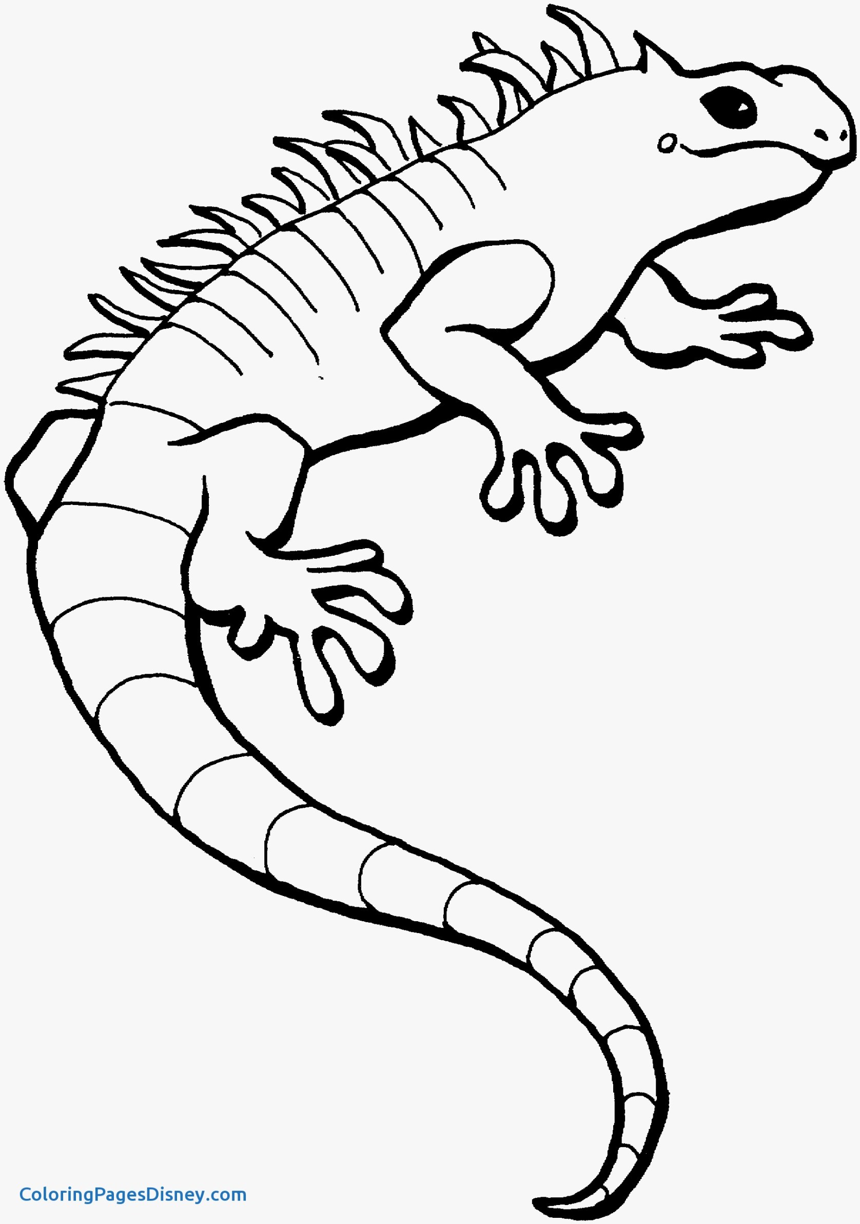 1676x2385 High Tech Lizard Coloring Page Lizards Pages F