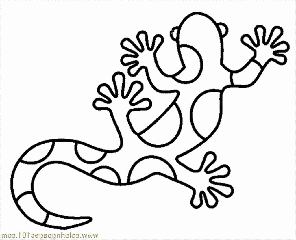 1024x831 Lizard Coloring Pages