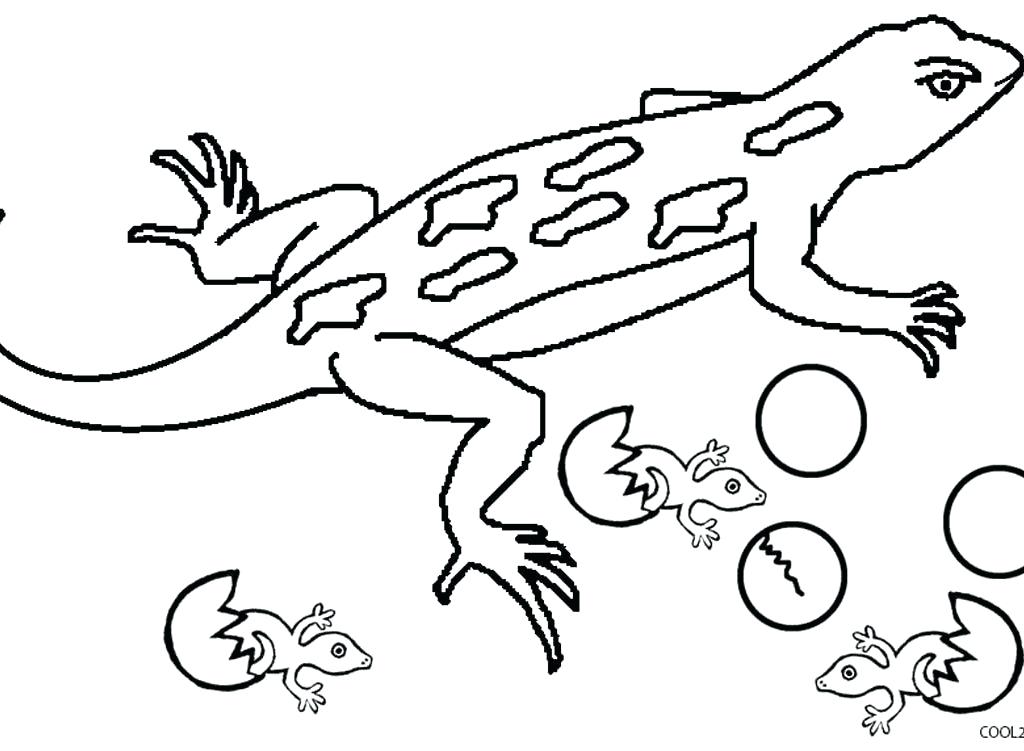 1024x751 Lizards Coloring Pages Realistic Lizard Coloring Pages