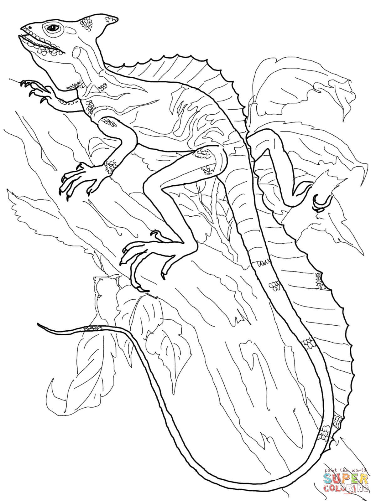1200x1600 Basilisk Lizard Coloring Page Free Printable Coloring Pages