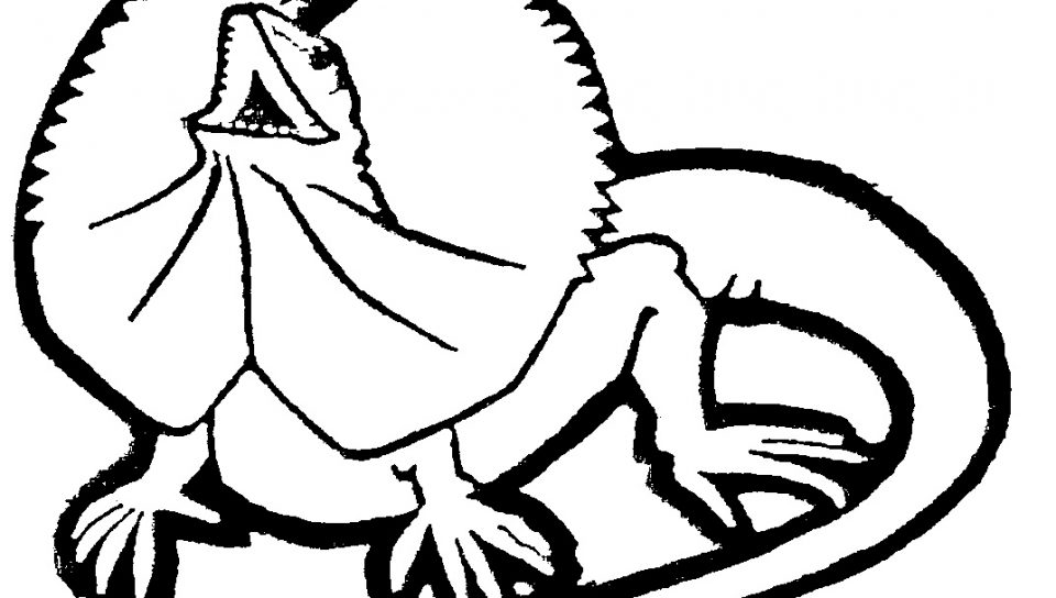 960x544 Realistic Lizard Coloring Pages In The Desert Animals Page