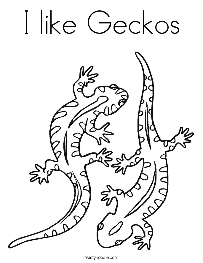 685x886 Cartoon Gecko Coloring Pages Download And Print For Free