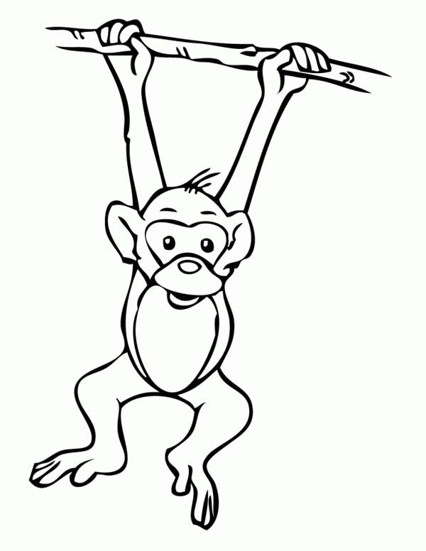 600x776 Monkey Coloring Pages To Print Monkey, Monkey Hanging