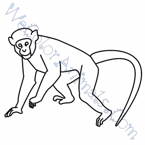 300x300 Monkey Coloring Pages