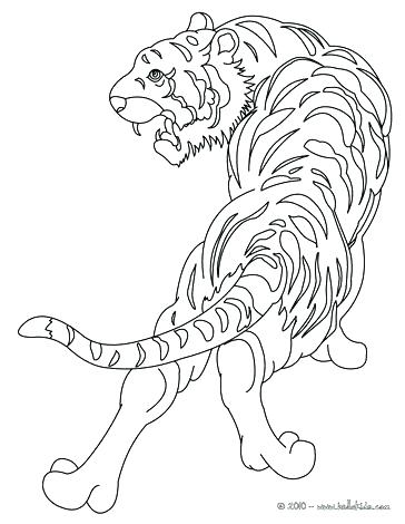 364x470 Wild Animal Coloring Pages As Well As Large Size Of Coloring Pages