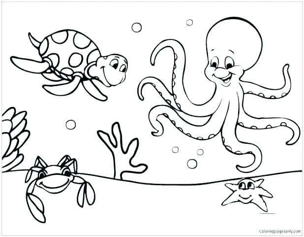 618x481 Ocean Creatures Coloring Pages Ocean Life Coloring Pages Sea Life
