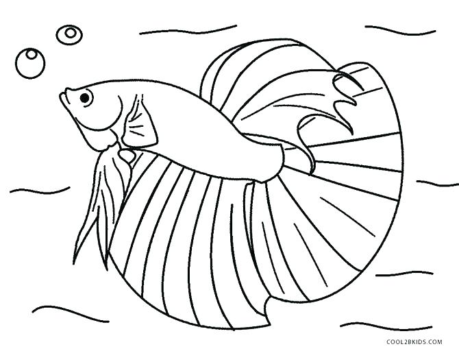 670x512 Realistic Fish Coloring Pages Printable Realistic Fish Coloring