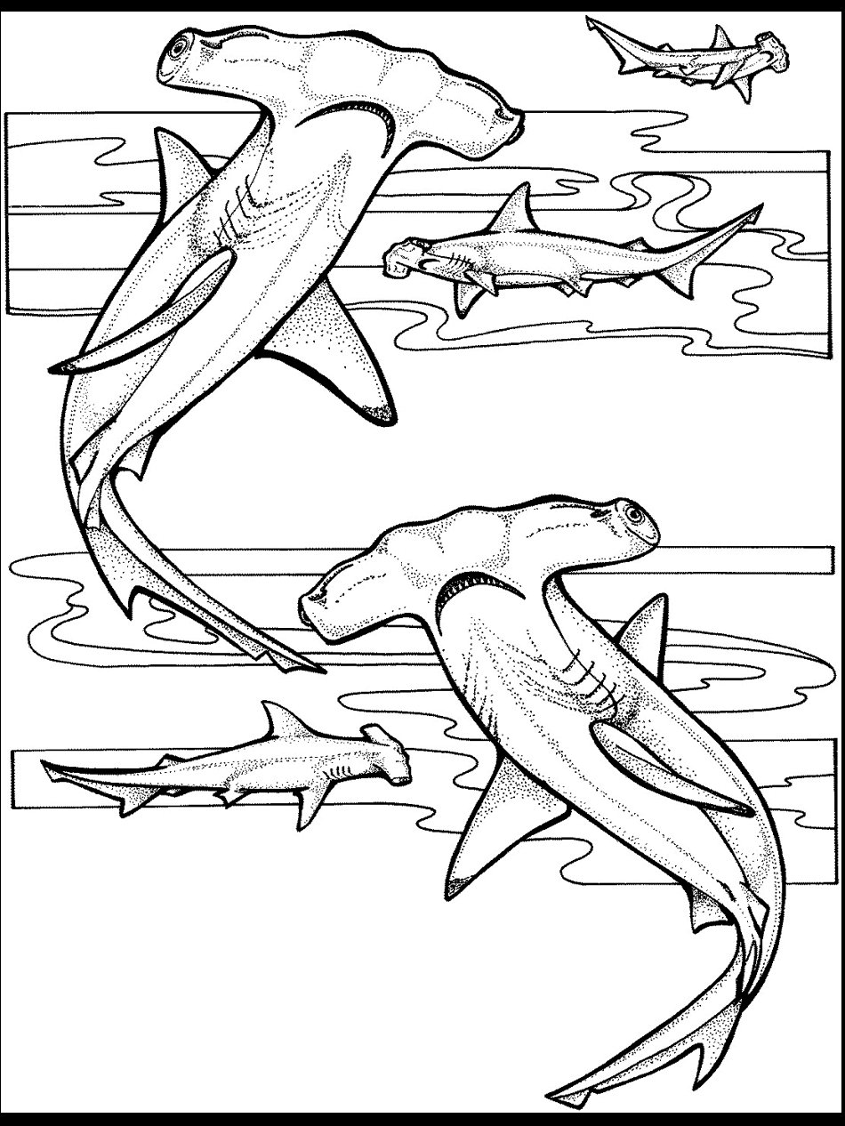 950x1266 Fresh Adult Coloring Pages Realistic Ocean Design Printable