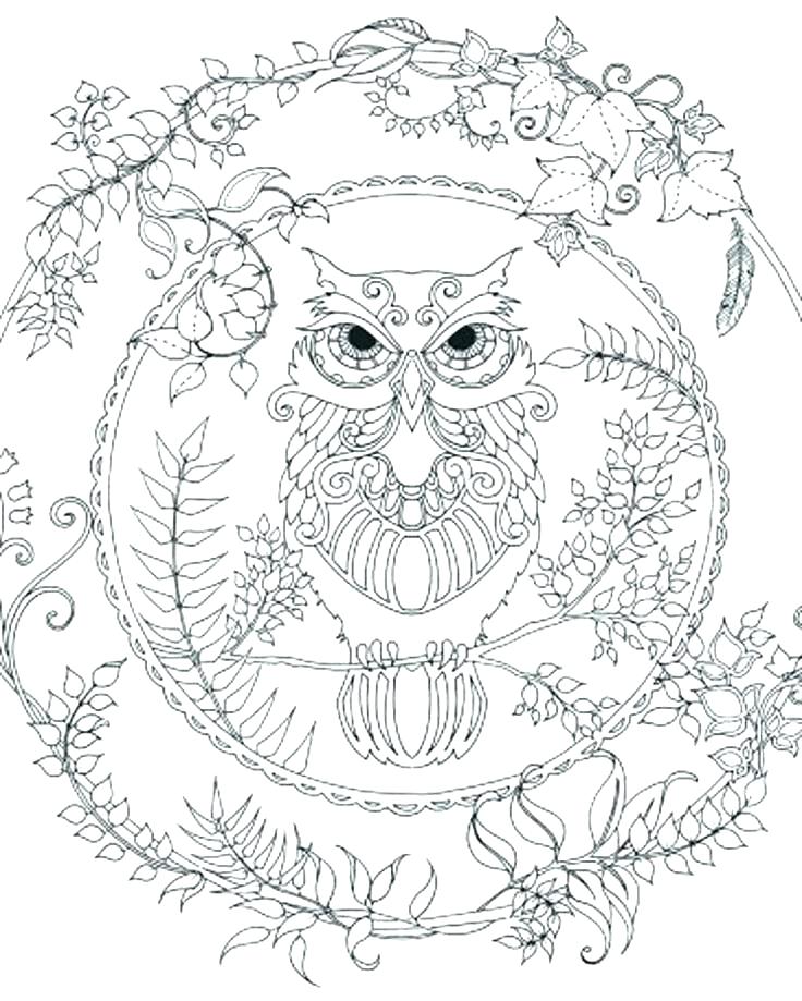 736x919 Realistic Adult Coloring Pages Printable Owl Adult Coloring