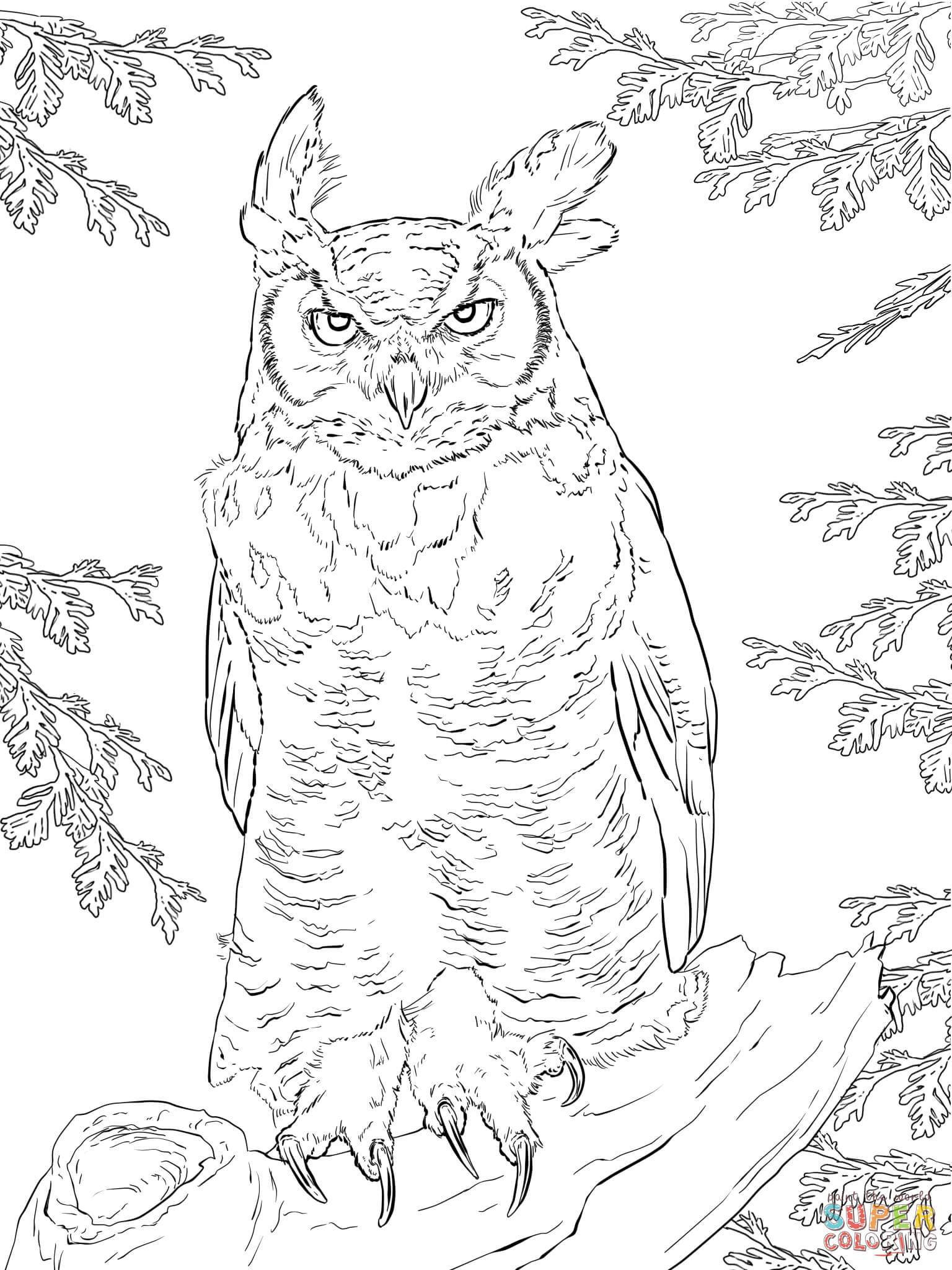 1536x2048 Realistic Owl Coloring Pages Acpra Lively Wagashiya