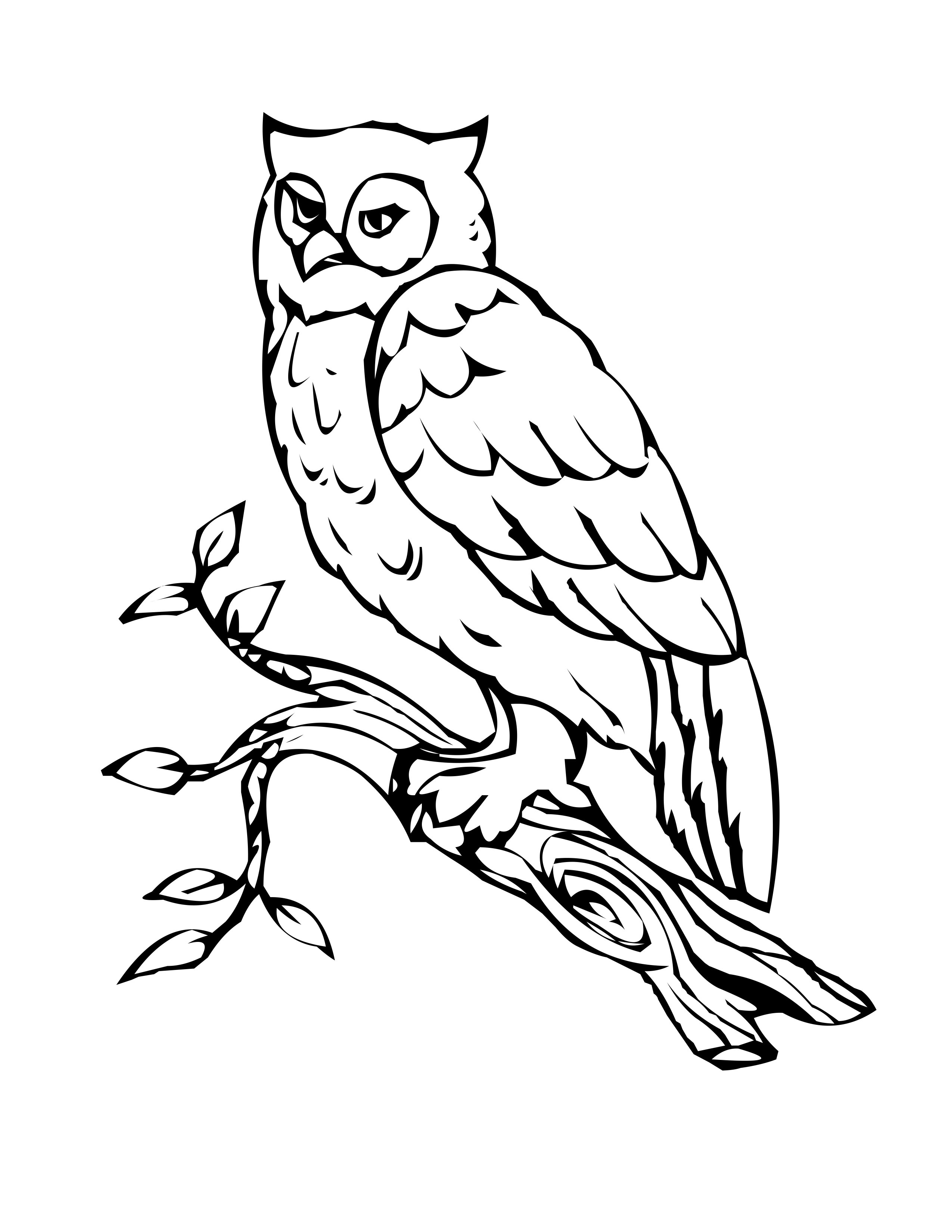2550x3300 Shining Design Free Owl Coloring Pages Printable For Kids