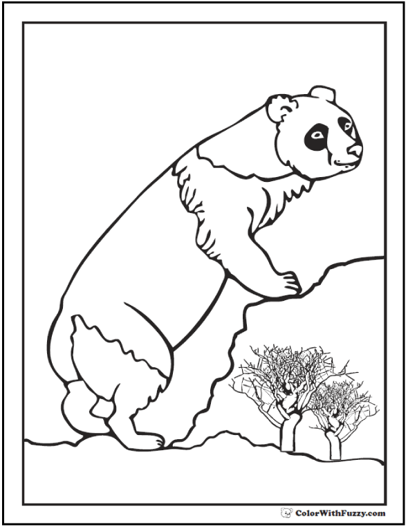 590x762 Panda Coloring Pages Bamboo And Baby Pandas