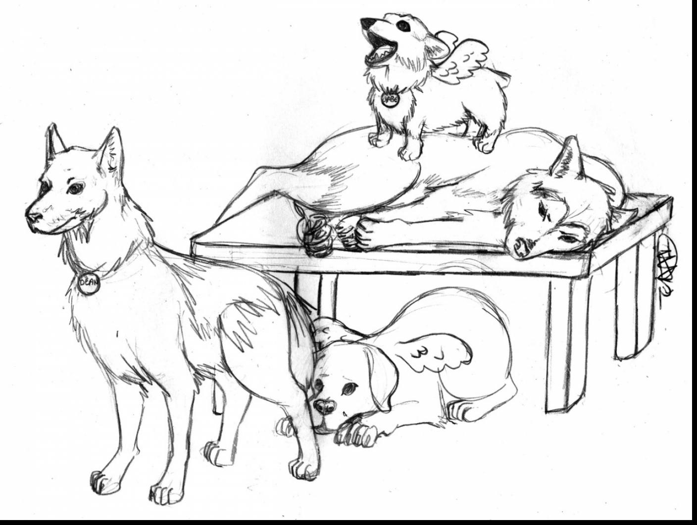 1408x1060 Printable Zentangle Panda Coloring Sheet Printable Coloring