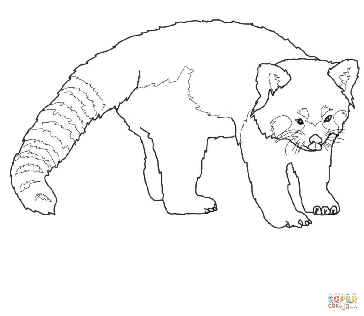 1200x1040 Red Panda Coloring Pages Free Coloring Pages Red Panda Coloring