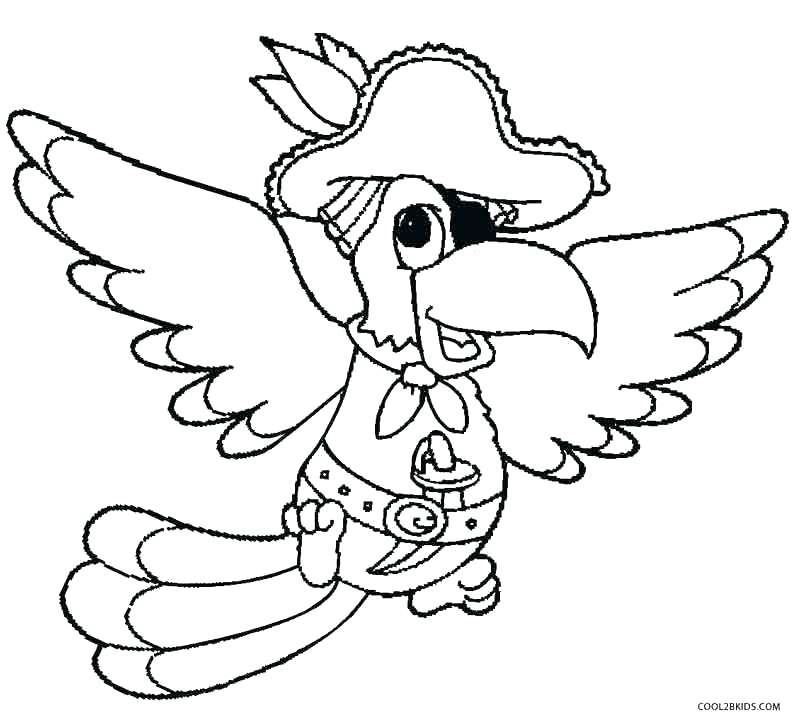 800x726 Parrot Coloring Pages Baby Parrot Coloring Pages Realistic Parrot