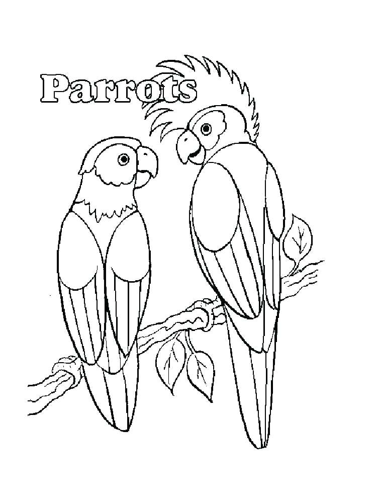 750x1000 Parrot Coloring Pages Coloring Pages Animals Parrot Parrot