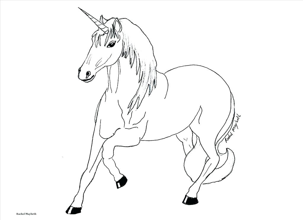 1023x744 Pegasus Coloring Pages Barbie And The Magic Coloring Page