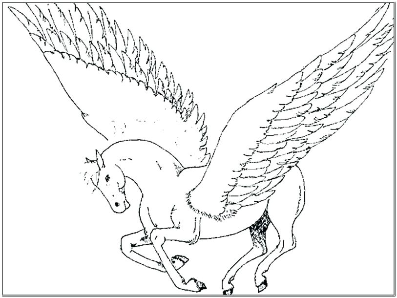 813x610 Pegasus Coloring Pages Coloring Page Coloring Pages Pictures