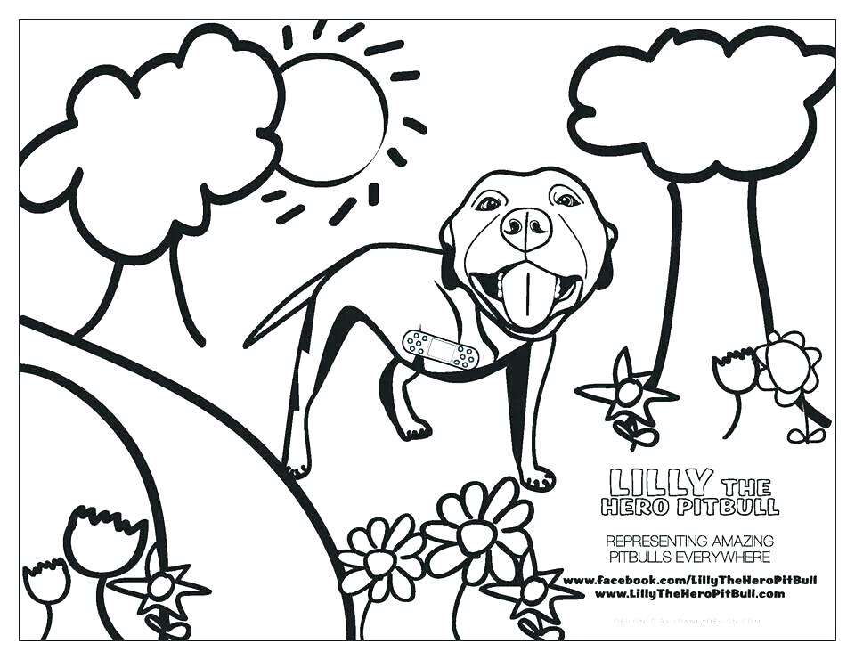 960x741 Pitbull Coloring Page Coloring Pages I My Coloring Pages I