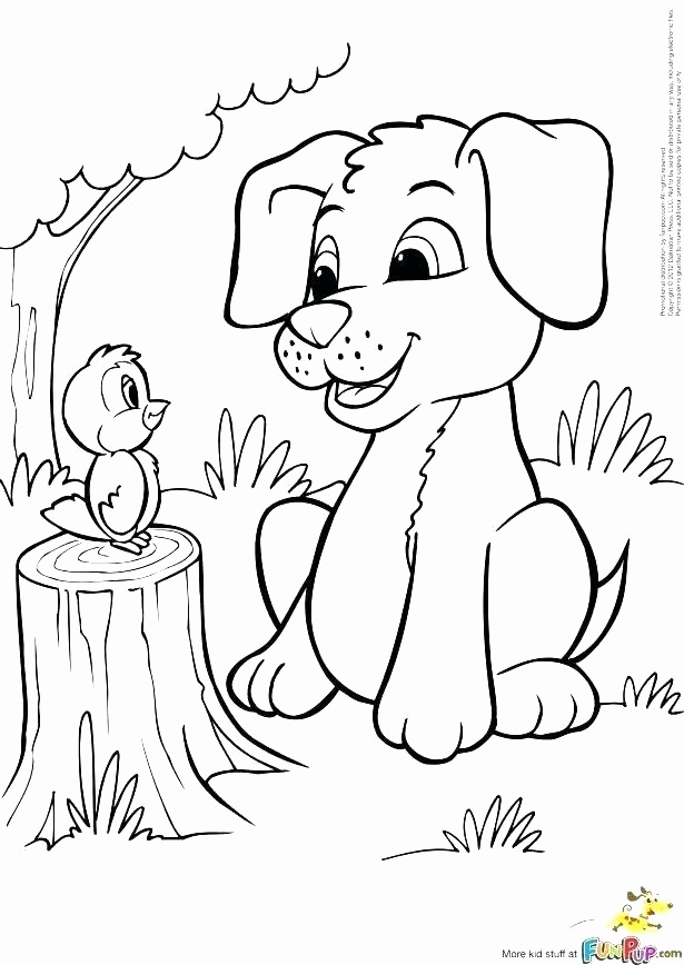 615x868 Pitbull Coloring Page How To Draw Coloring Page Cute Pitbull Puppy