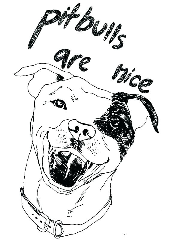 600x817 Pitbull Coloring Pages Coloring Pages Coloring Pages Realistic