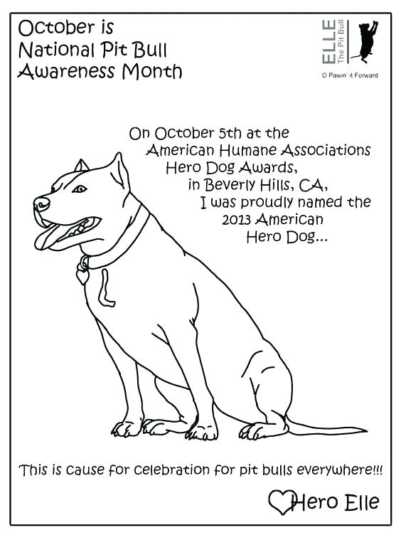 564x752 Pitbull Coloring Pages Dog Coloring Page Pitbull Face Coloring