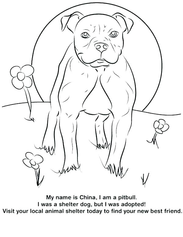 600x776 Free Dog Coloring Pages Realistic Dog Coloring Pages Realistic Dog