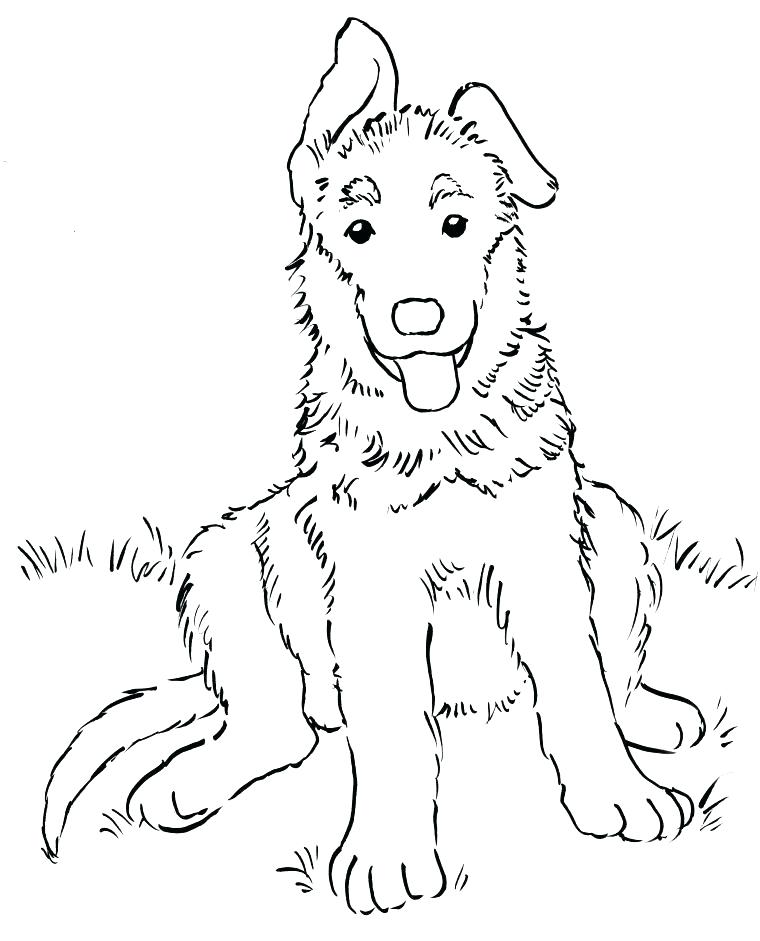 760x941 Golden Retriever Coloring Pages Shepherd Coloring Pages Realistic