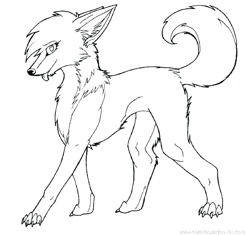 800x763 Cute Wolf Coloring Pages Cute Wolf Coloring Pages Realistic Wolf