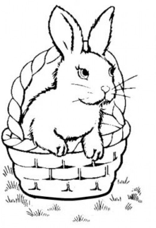 520x759 Bunny Coloring Pages Peter Rabbit, Bunny And Rabbit
