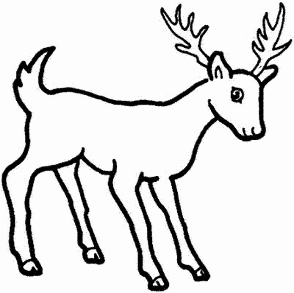 1024x1019 New Reindeer Coloring Pages Gallery Printable Coloring Sheet