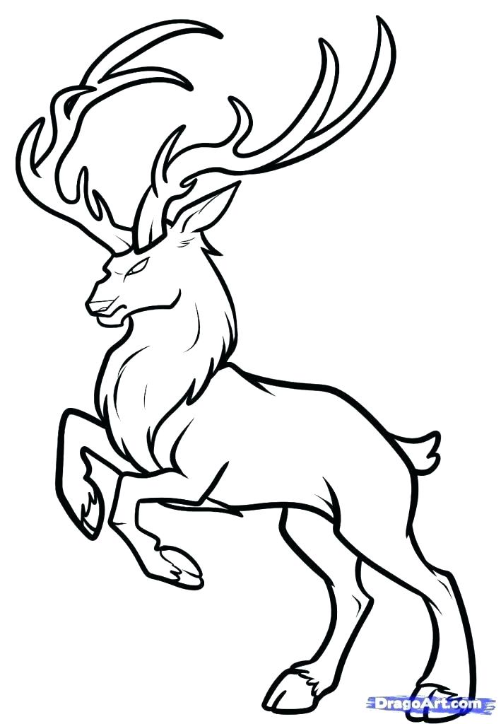 709x1024 Baby Deer Coloring Pages Deer Coloring Pages Realistic Reindeer