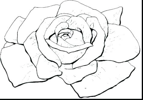 476x333 Roses Coloring Pictures Color Pages Of Hearts Heart And Rose Roses