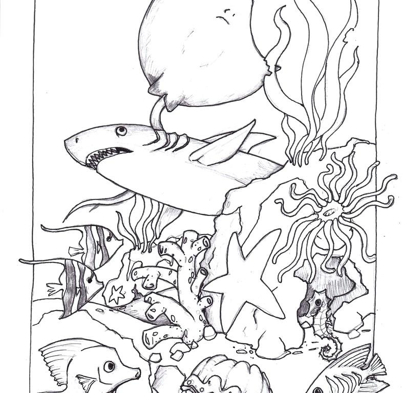 785x768 Ocean Life Coloring Pages Ocean Life Coloring Pages For Ocean
